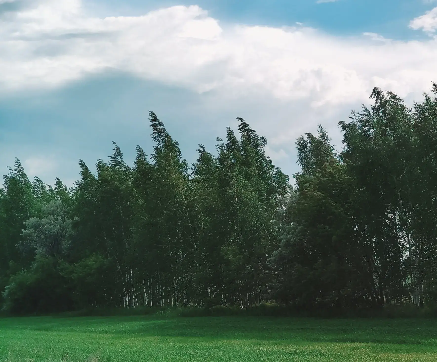 ✨Доброе утро четверга! Замечательного дня!

По народным приметам, если 18 июня весь день облачно, а 