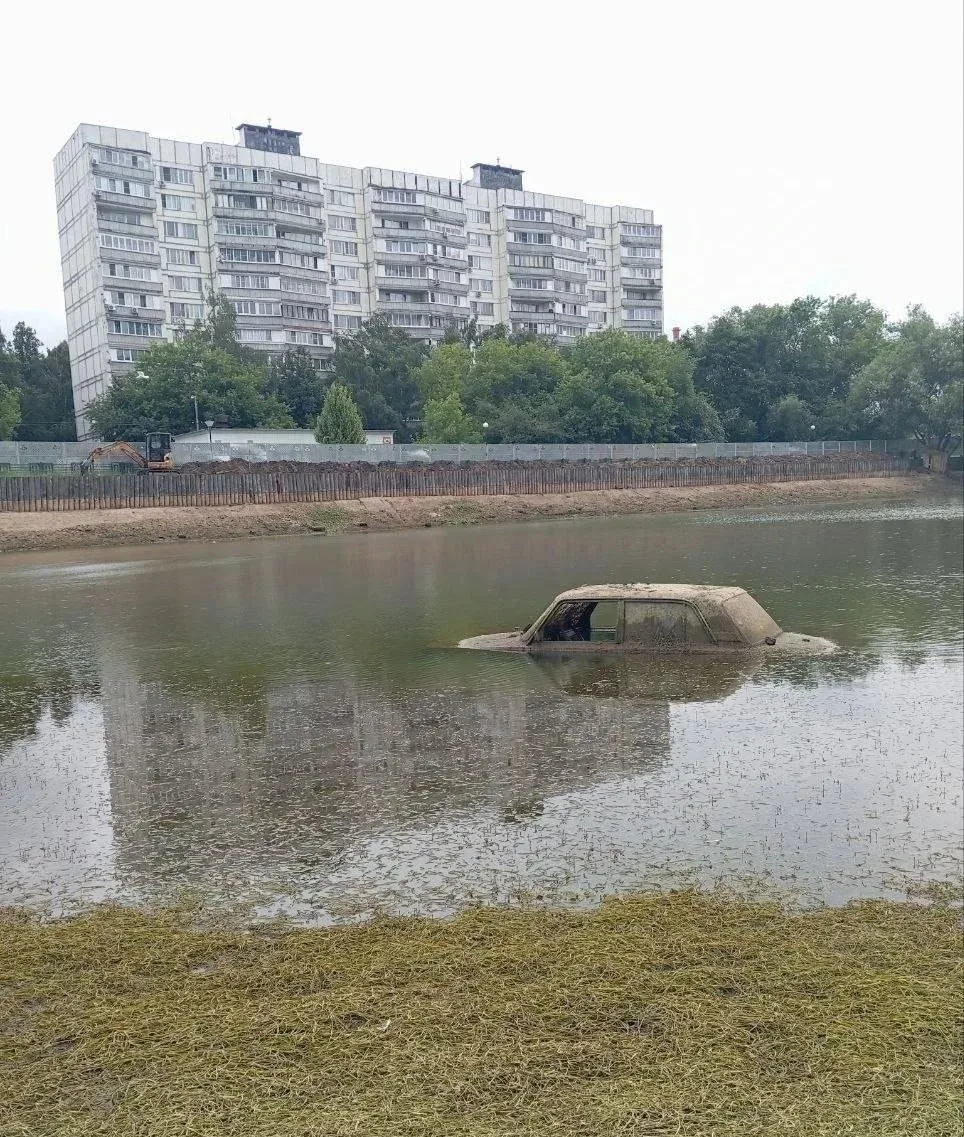 Необычную находку сделали в пруду в Зюзино