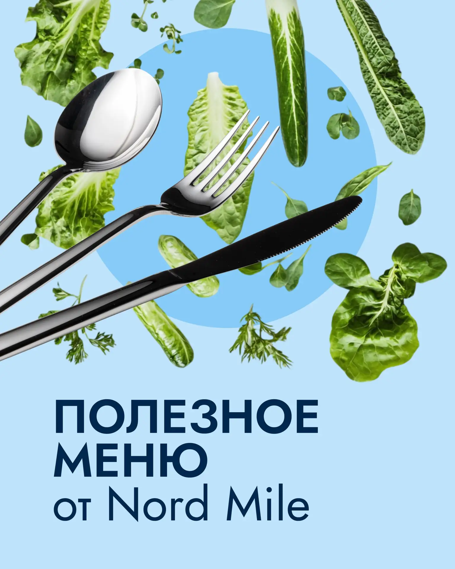 🥗 Полезное меню от Nord Mile
Жара сильно меняет правила нашего питания. Тяжёлое мясо и жирные соусы