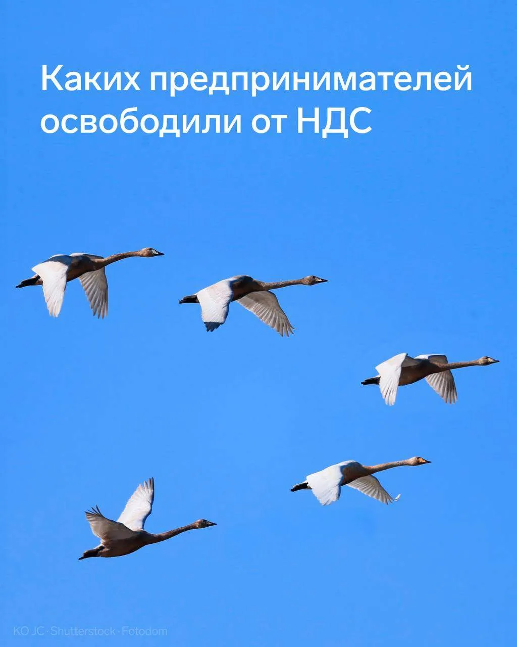 ⚡️ Часть бизнеса освободили от НДС, перейти на УСН можно «задним числом»