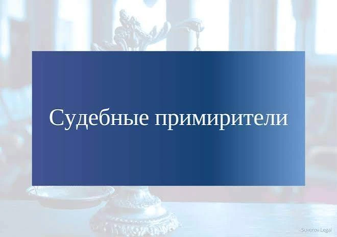 СУДЕБНЫЙ ПРИМИРИТЕЛЬ: инструкция по назначению для мирового судьи