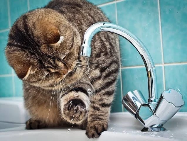 🚰 Часть Белгорода уже почти неделю сидит без холодной воды.