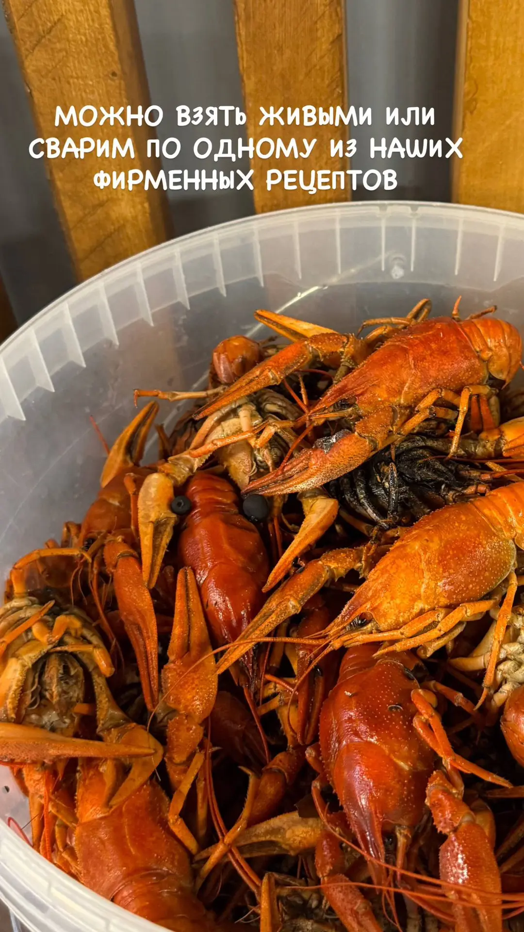 ☀️ Продлеваем лето вместе с раками 🦞🦞🦞