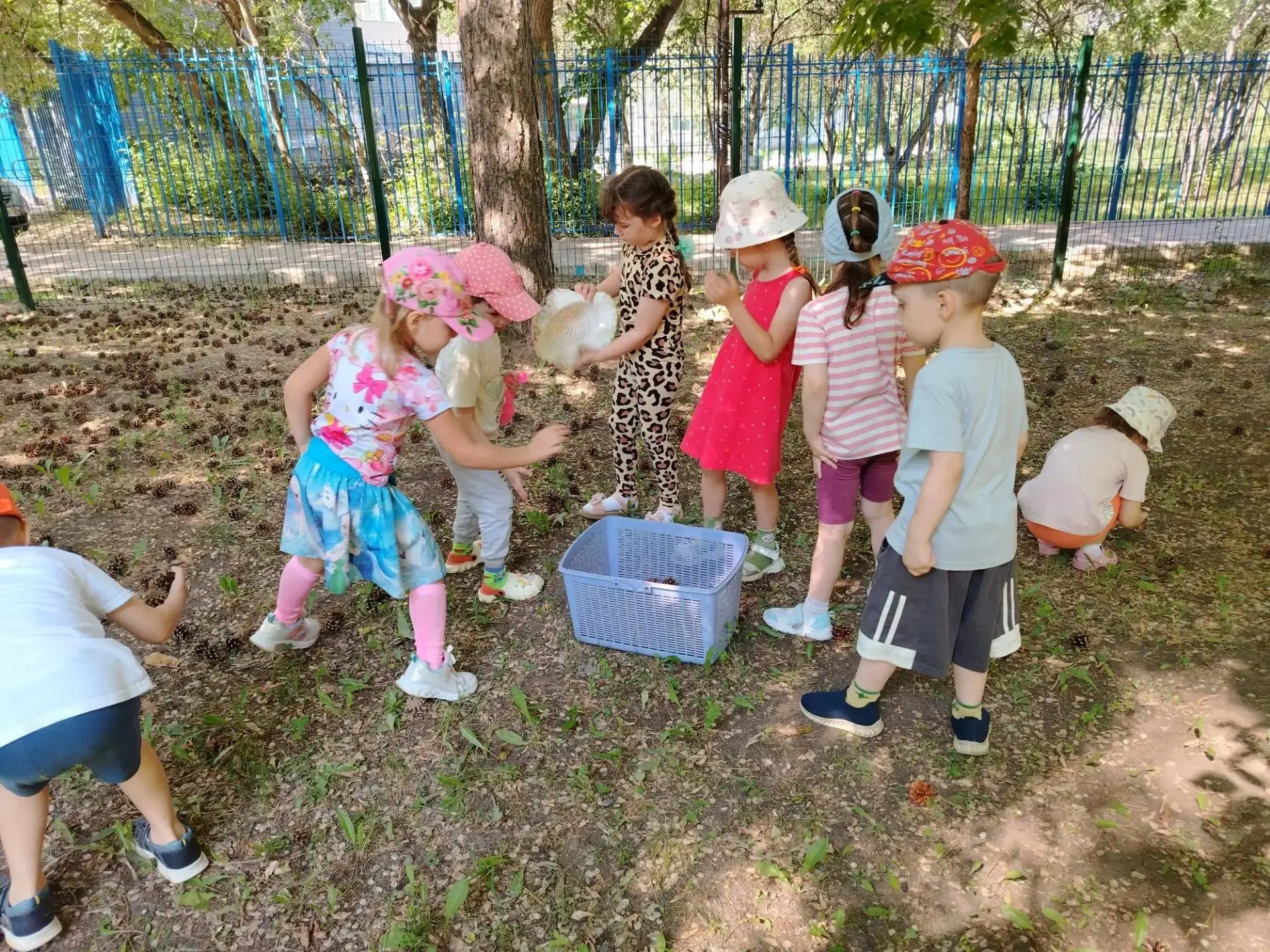 🌲 Шишкопад🌲
Недавно в нашем садике прошёл настоящий ШишкоПад! Что это? «Шишкопад» — это явление, к