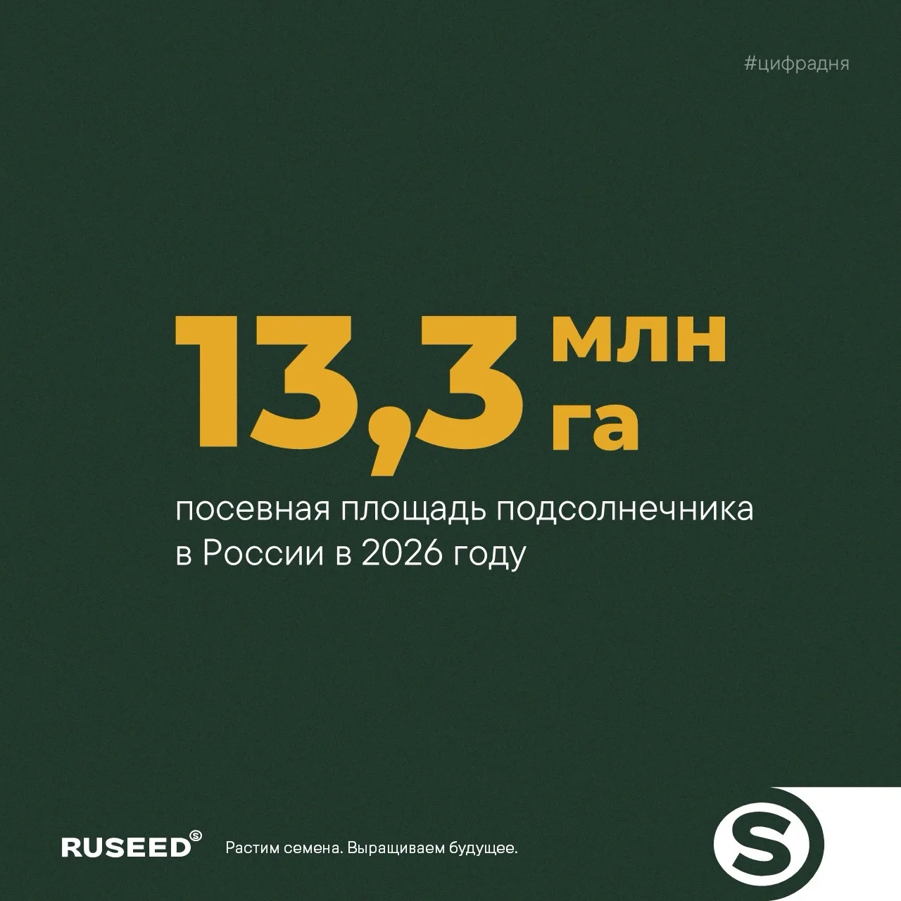🌻В России стартовала уборка подсолнечника