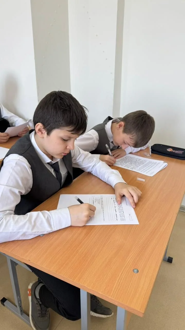 Всероссийские проверочные работы📌