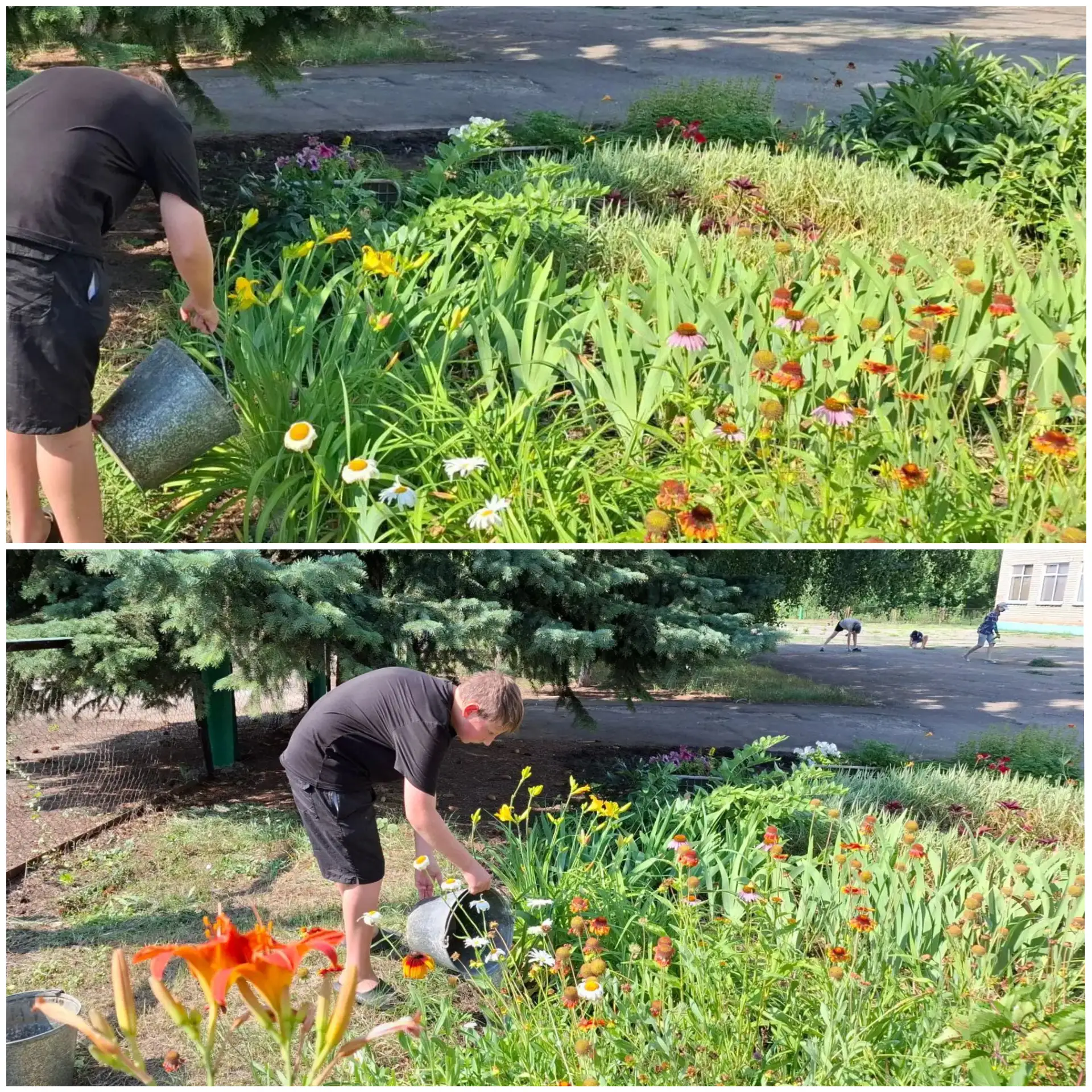 🌸🌱 Летние месяцы — это не только время отдыха, но и возможность для наших учеников внести свой вкл
