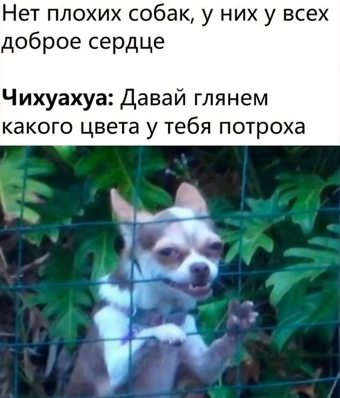 Дурилка картонная