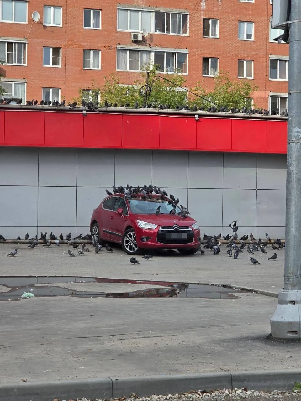 Следующая остановка — автомойка