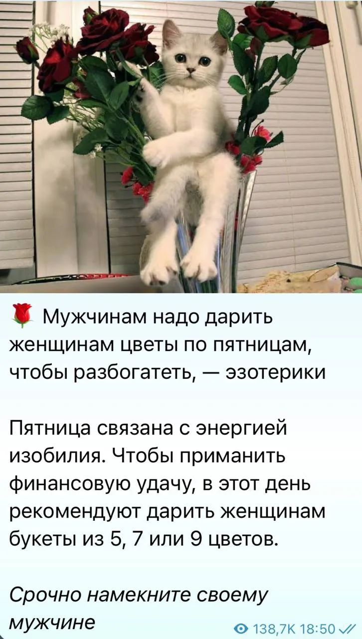 Хозяйкам мущинам на заметку!