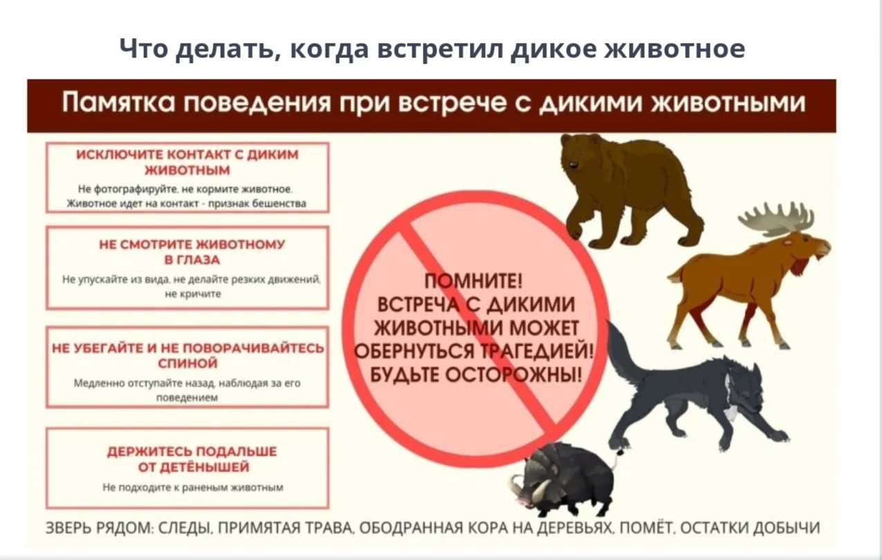 ⚠️ Внимание ⚠️ 

📌Уважаемые жители Ленского района!

❗В связи с выявленными фактами появления диких