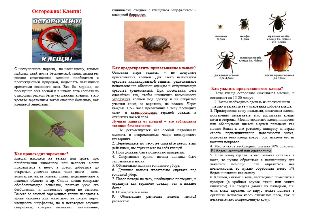 Департамент пожарной безопасности и гражданской защиты