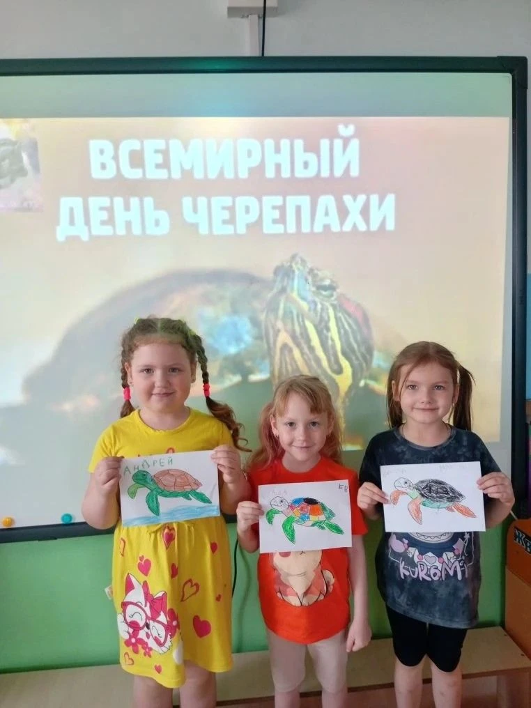 🌸 Тематическое занятие накануне Дня черепахи.
В преддверии  Дня черепахи – воспитанники старшей гру