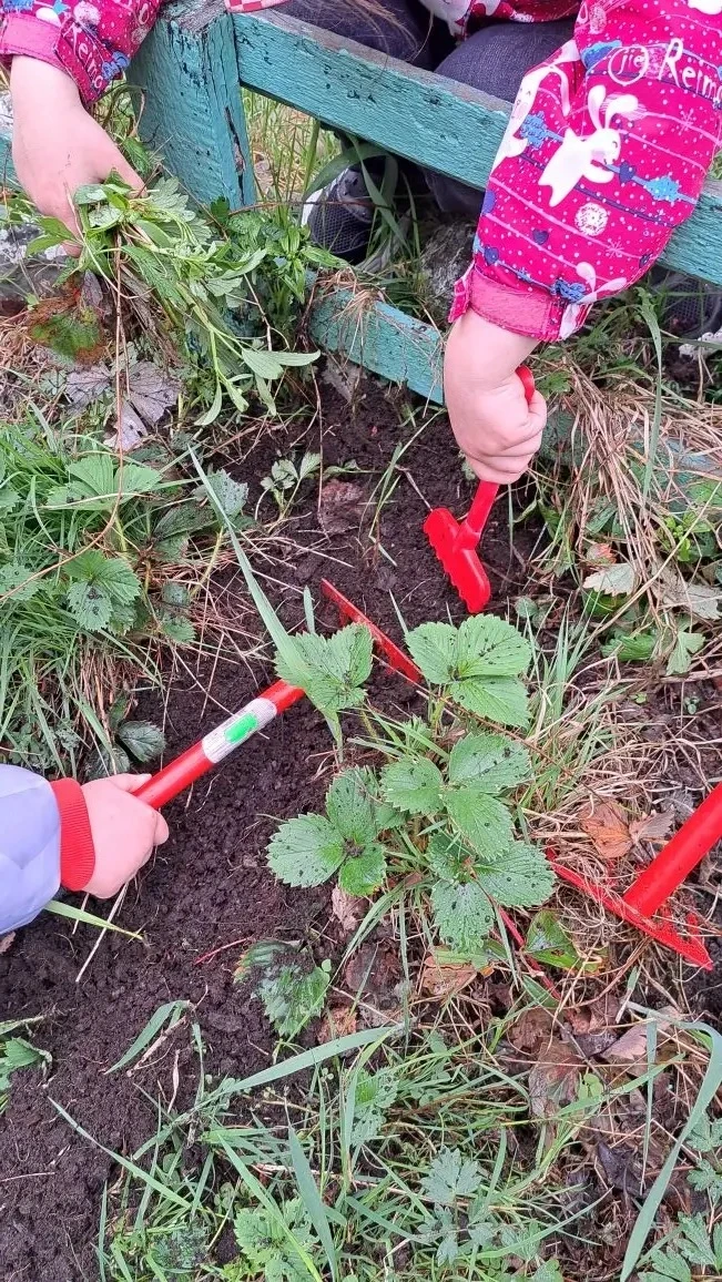 🌱 Наши воспитанники приняли участие в экологической акции «Зелёная весна»!

🌱 Ребята нашего детско