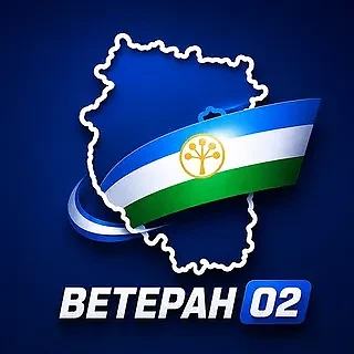 Участникам СВО и их семьям стало проще получать помощь

В Башкортостане запустили мобильное приложен