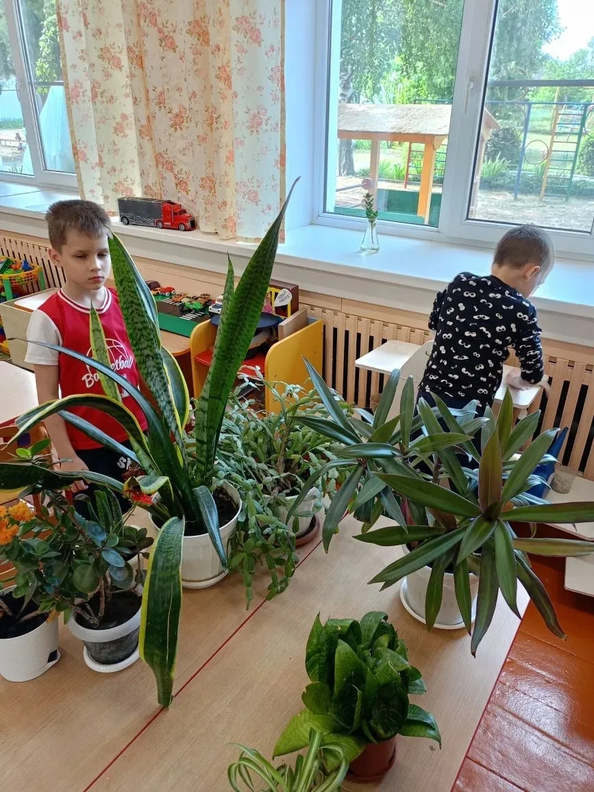Ребята учатся ухаживать за комнатными растениями в уголке природы🪴🌵🌱