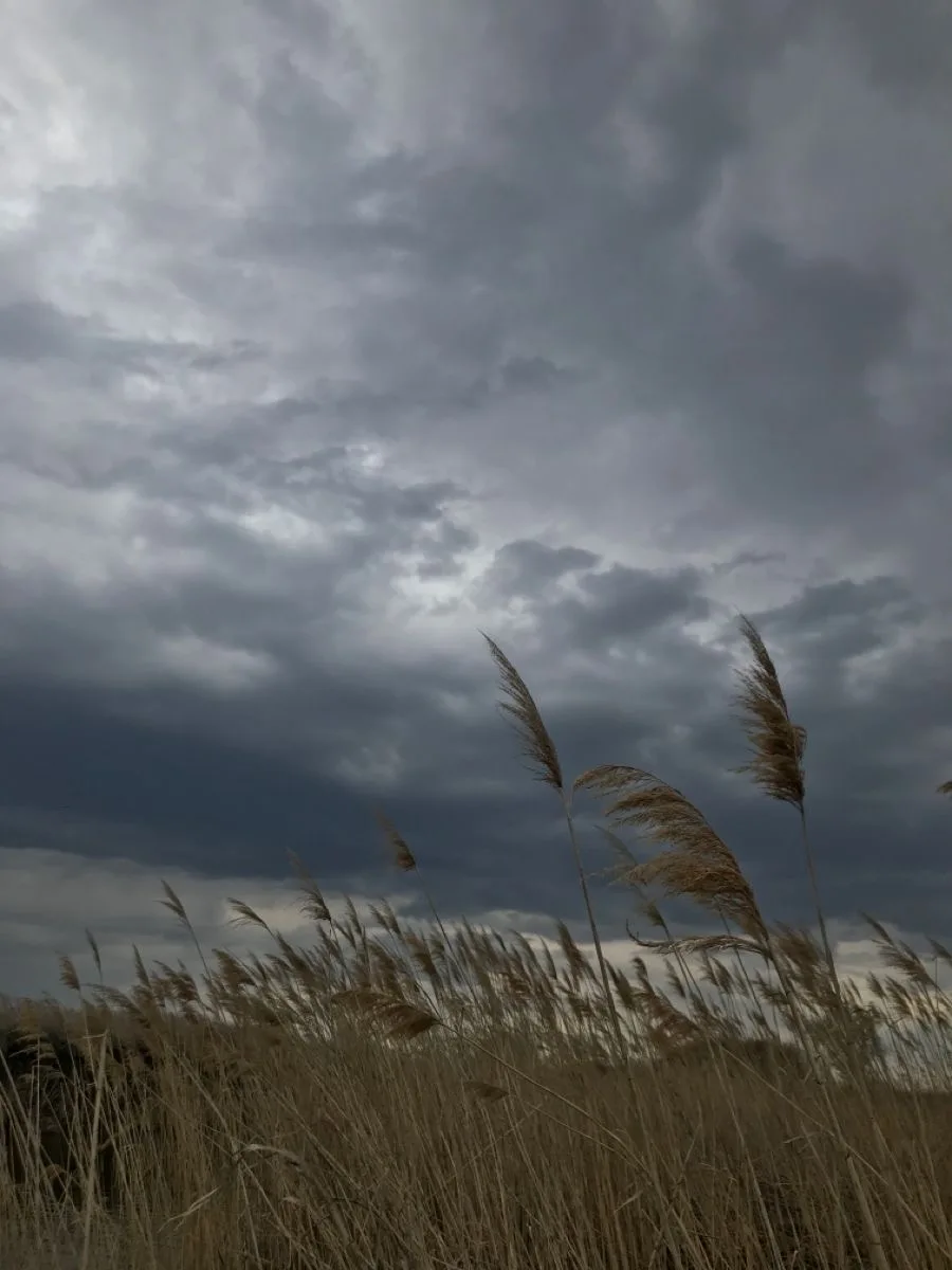 🌬️ Ветер в народных поверьях: заговоры на ветер для исполнения желаний 🌪️  

Знаете ли вы, что наш