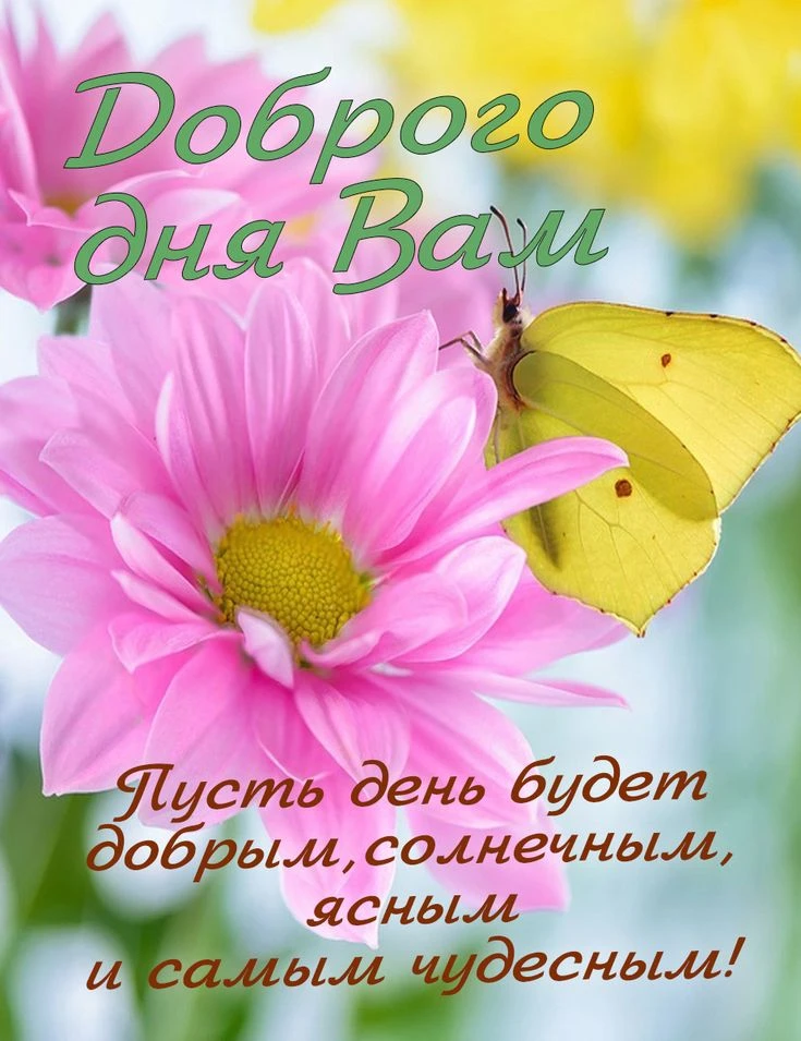 Доброе утро!♥️
