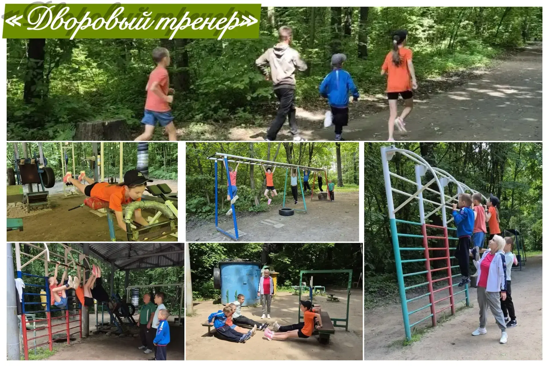 🌟 Открытая тренировка по ОФП прошла в Ельниковской роще! 🌟

В рамках проекта "Дворовый тренер" в Е
