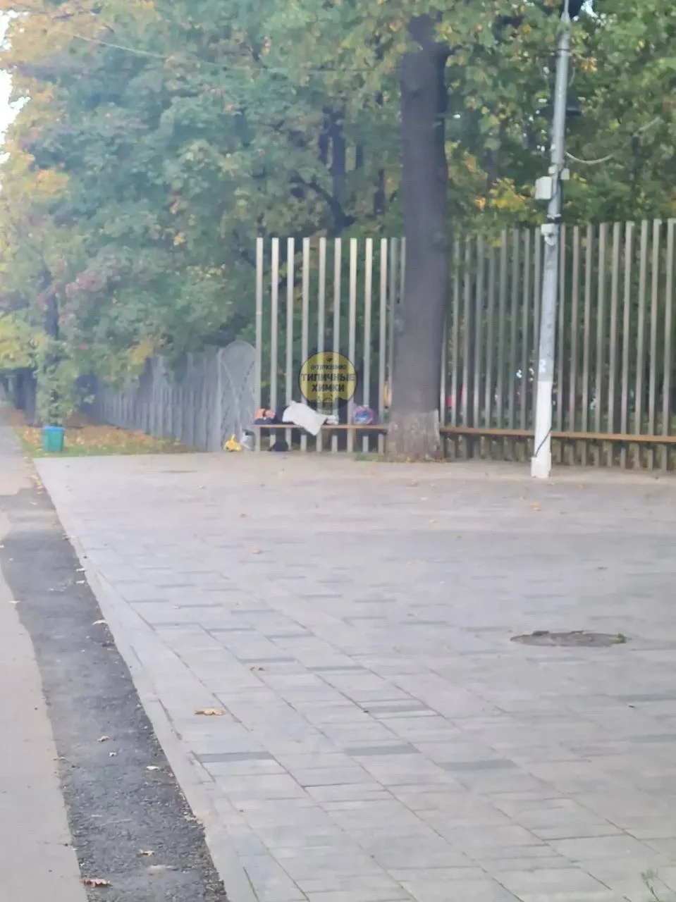 Подписчица просит помочь женщине у парка Толстого