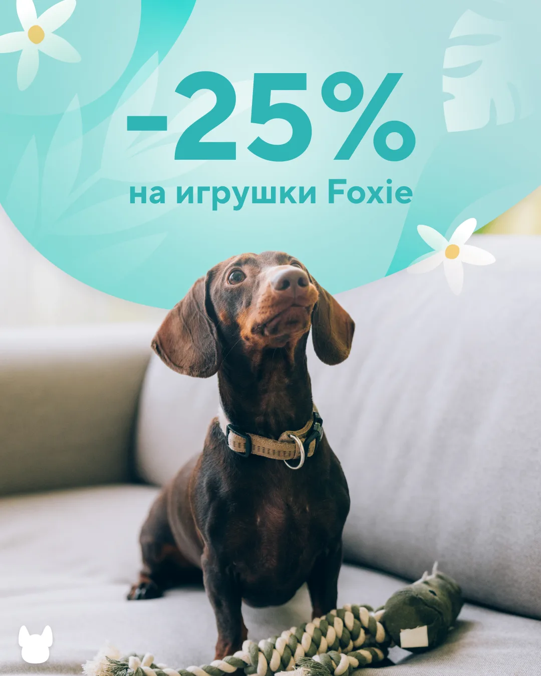 В хорошую погоду хочется дольше гулять с питомцем!