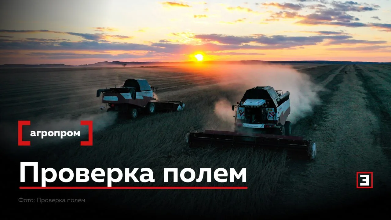 Соя стала для Приамурья тем же, чем пшеница остается для юга России. В Амурской области...
