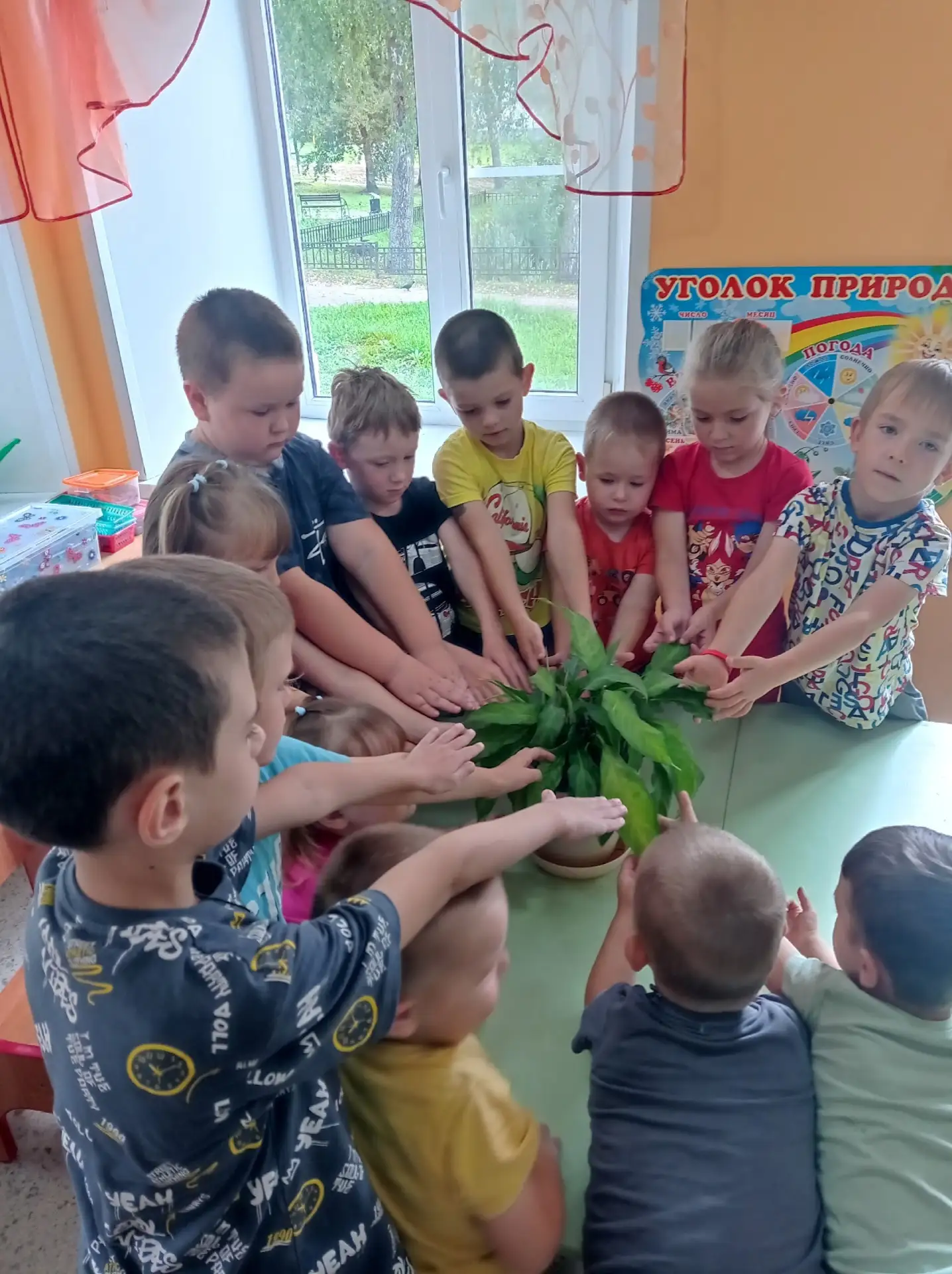 ЦРР детский сад№2 "Октябренок"