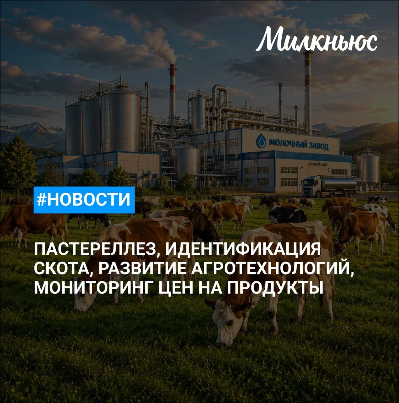 🐮 В Новосибирской области вспышки пастереллеза не фиксируют уже три месяца
