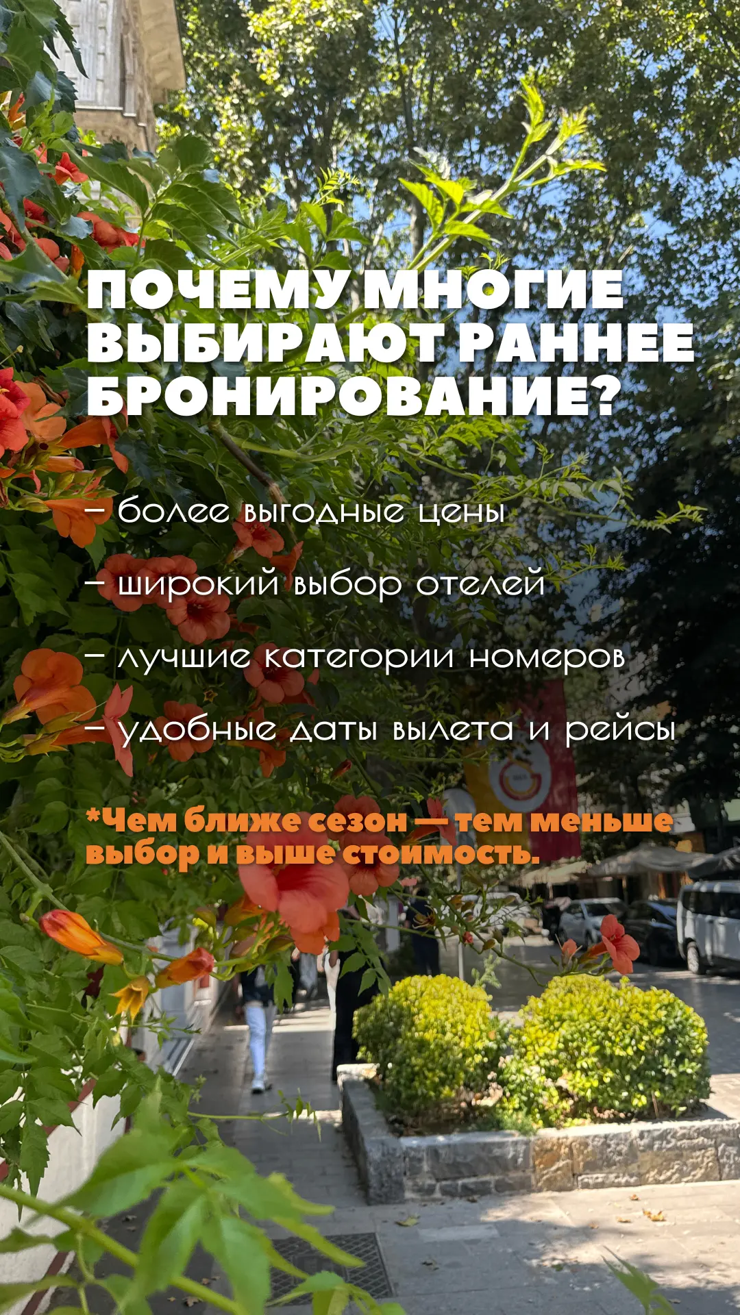 Туры на Новый год от 105000 рублей! 🎄
