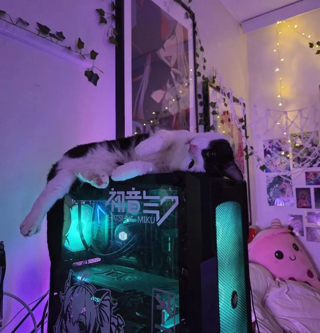🐈‍⬛ Как запретить коту лежать на системнике?