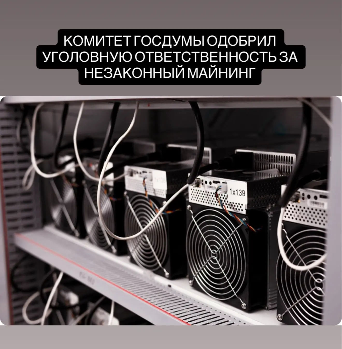 Комитет Госдумы рекомендовал принять в первом чтении законопроект об уголовной ответственности за не