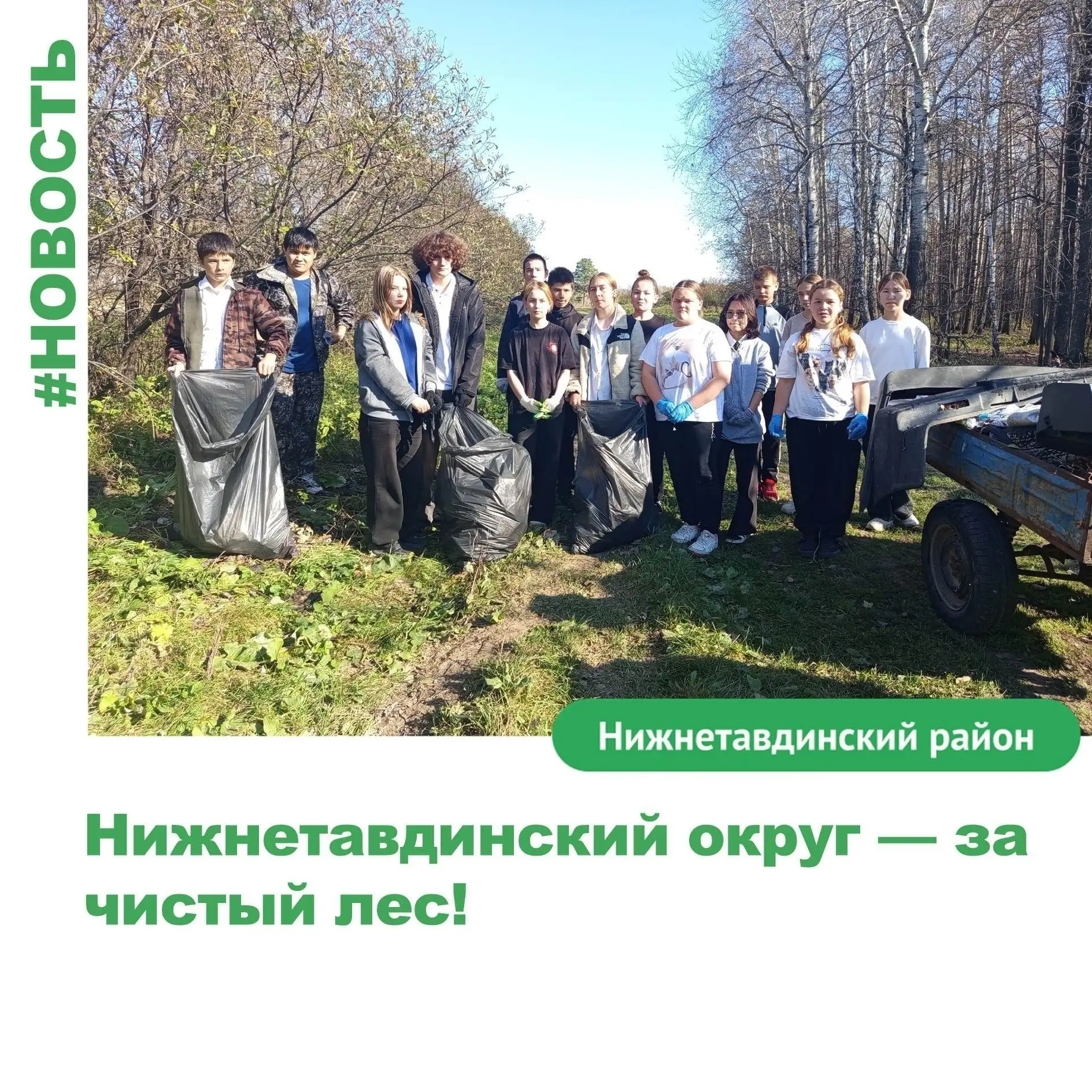 🌲 Нижнетавдинский округ — за чистый лес! Присоединяемся к областному конкурсу!