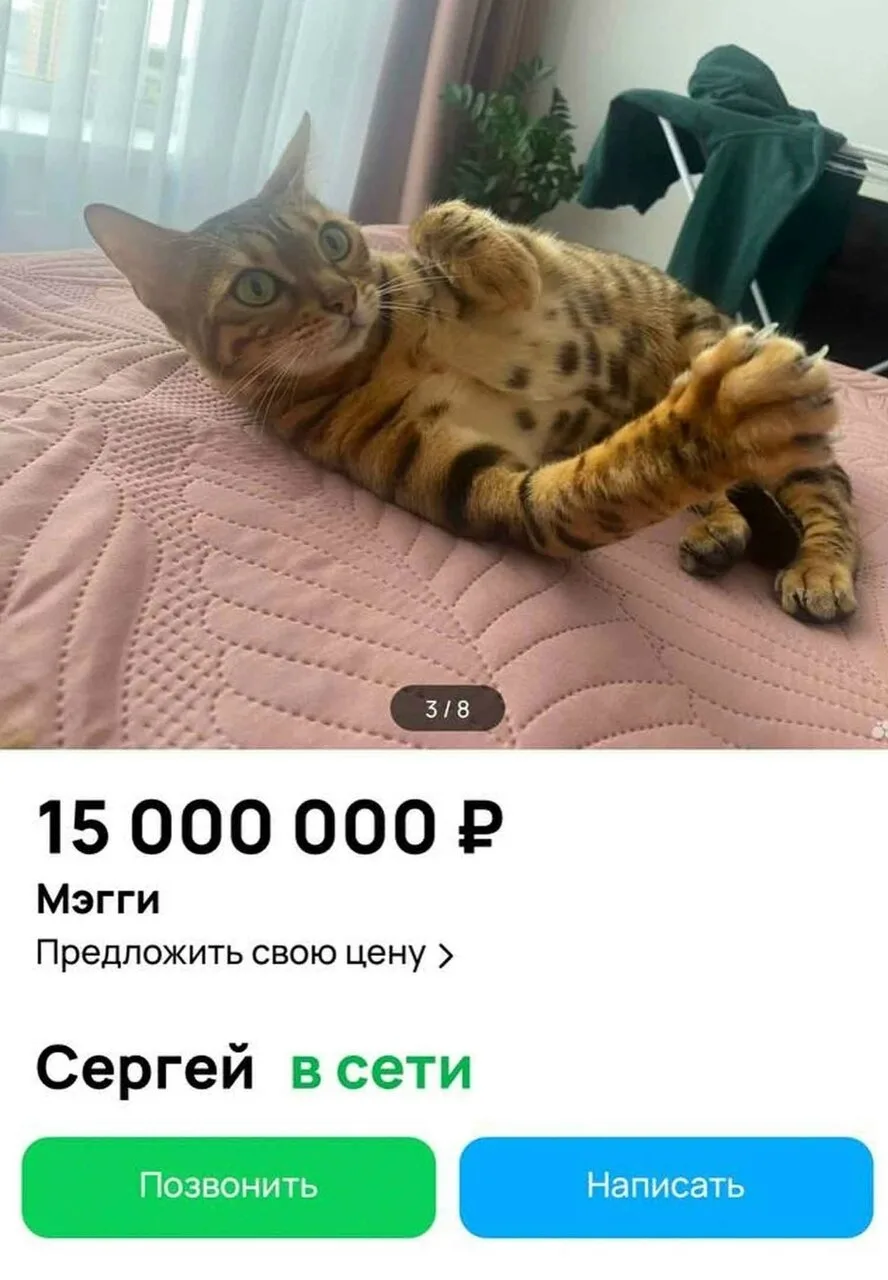 На одном сайте объявлений появился человек, который наконец-то честно оценил последствия своих жизне
