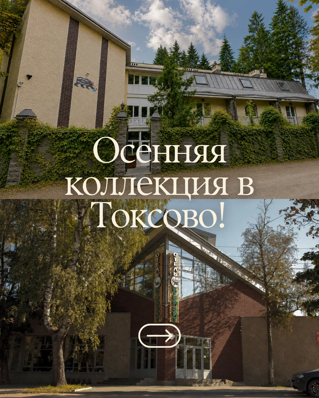 🍂 Осень в Токсово — сразу шесть предложений для отдыха