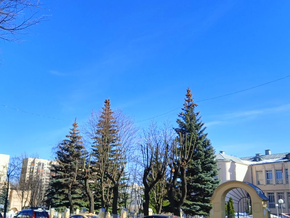 Весна! 🌱  Начинается время прогулок, теплого солнышка и невозможно синего неба! ☀️  Делитесь с нами 