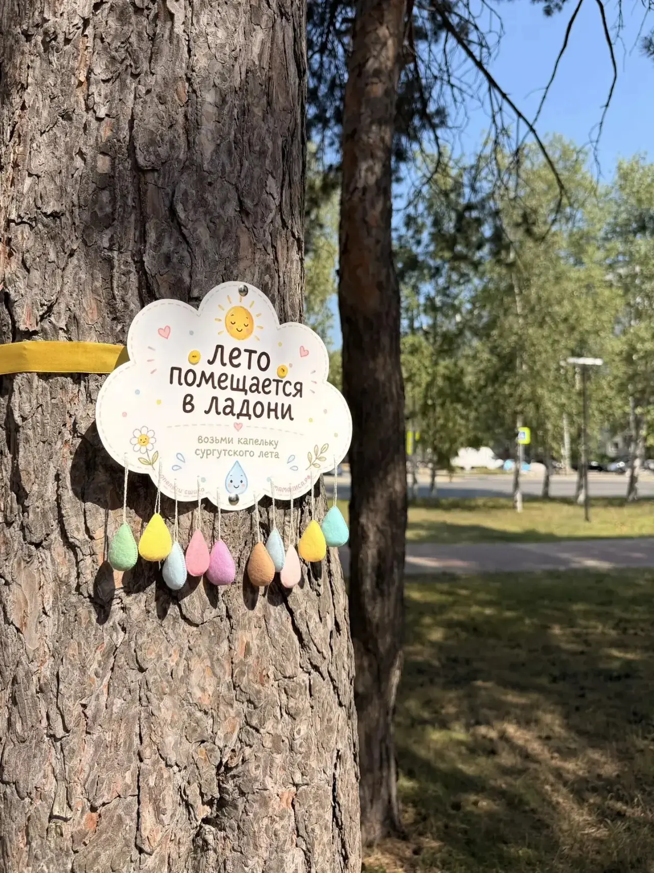 🌞 Друзья, ловите летнее настроение!

В Кедровом, на Сайме и в сквере Геолог появилась настоящая маг