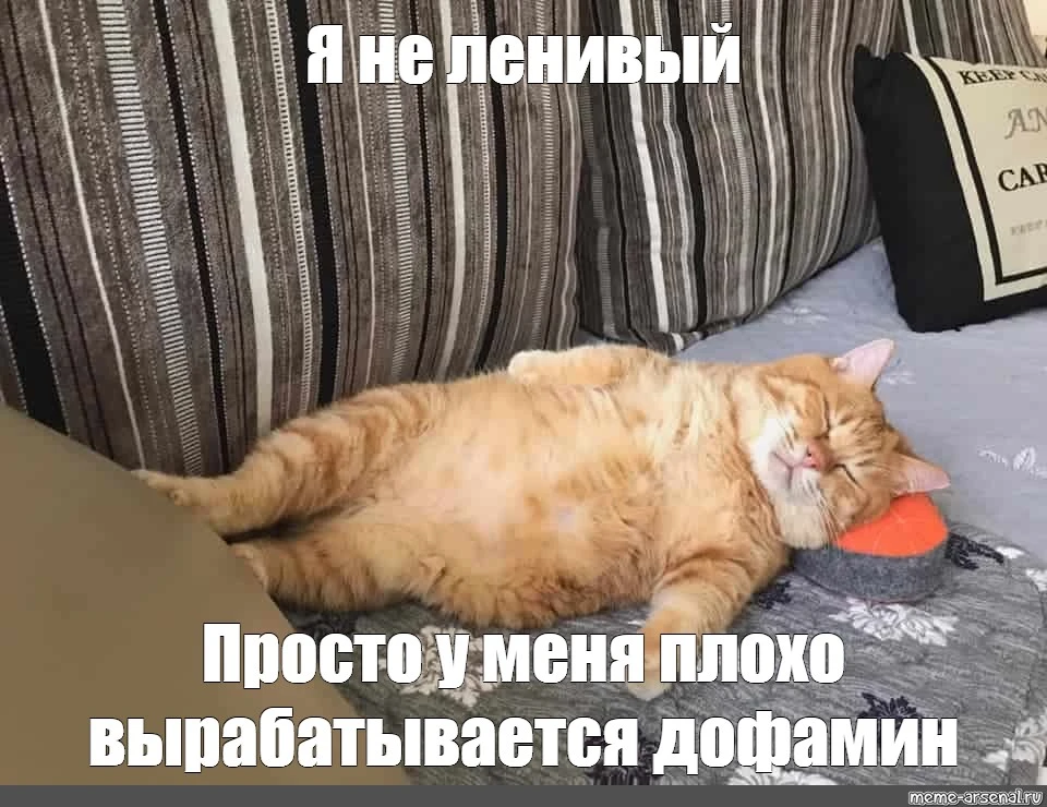Сегодня что-то совсем накрыло по настроению 🙃