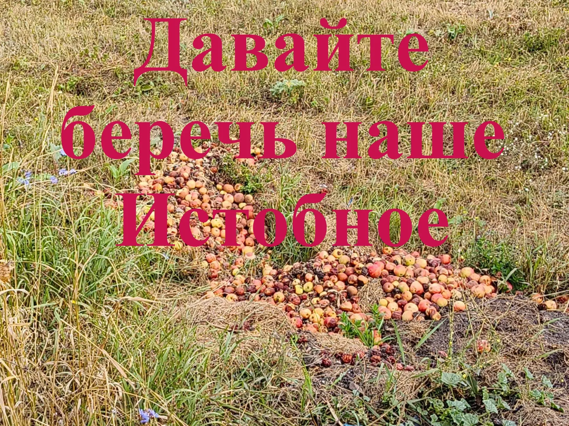 Дорогие односельчане! Мы все хотим жить в чистом и красивом селе, где приятно гулять и ...