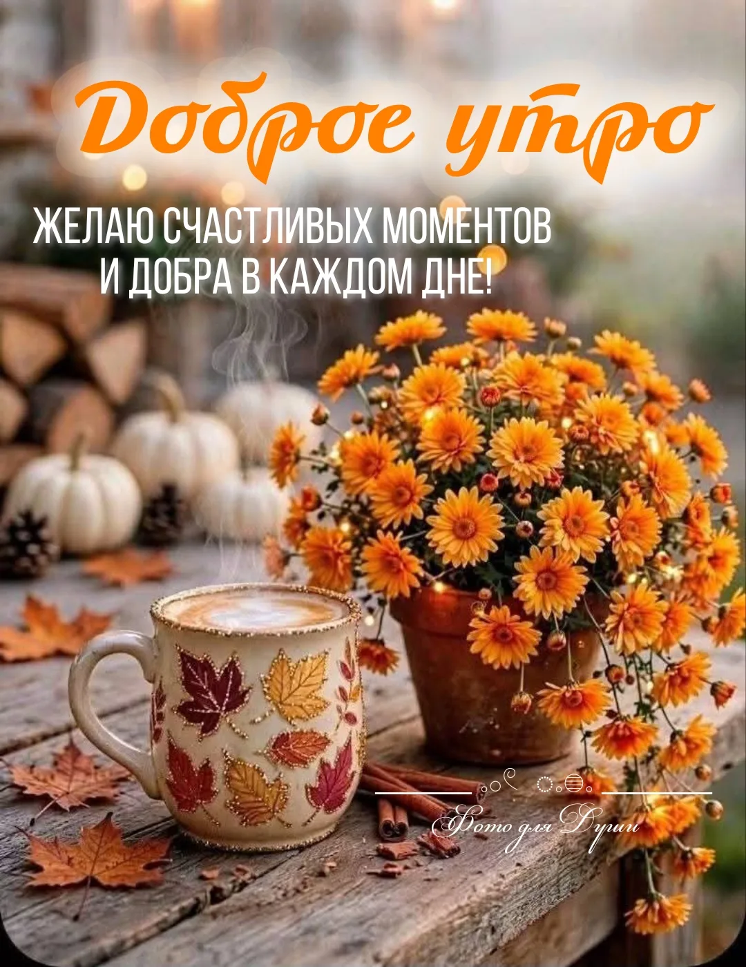ДОБРОГО  УТРЕЧКА !!!!
