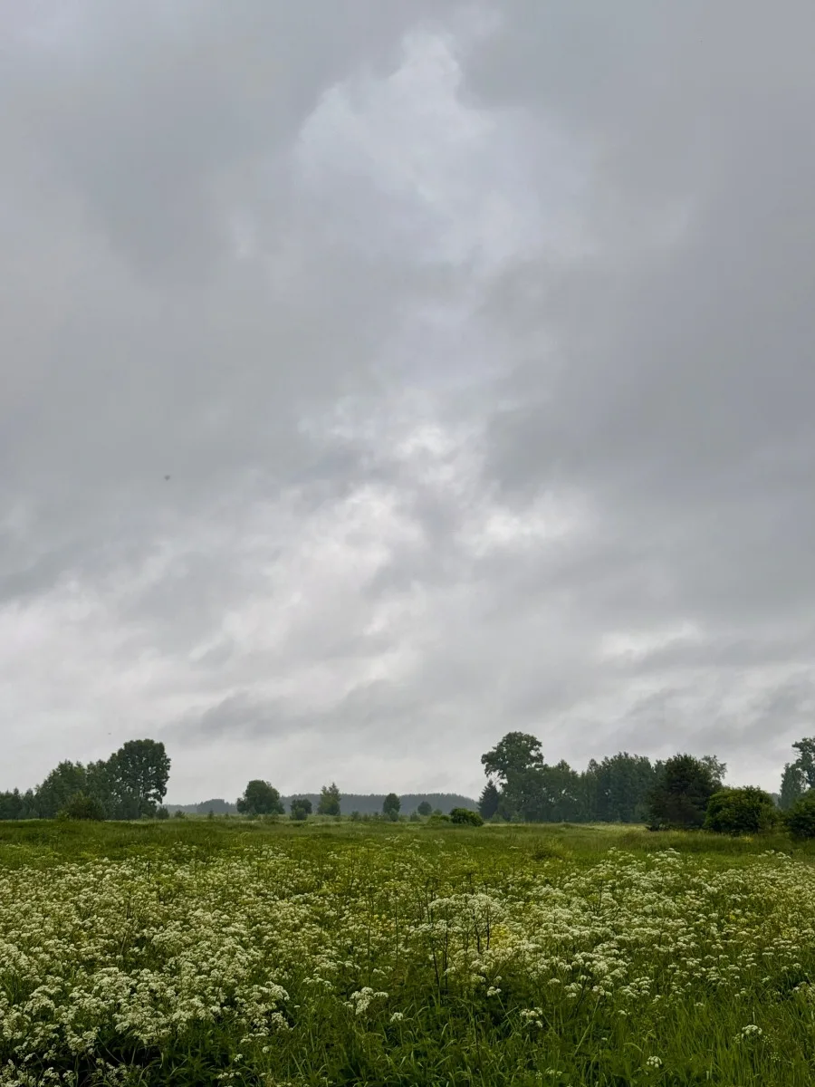 🌧️ Прогноз на 20–22 августа: в Кирове дожди, в области — грозы и туманы