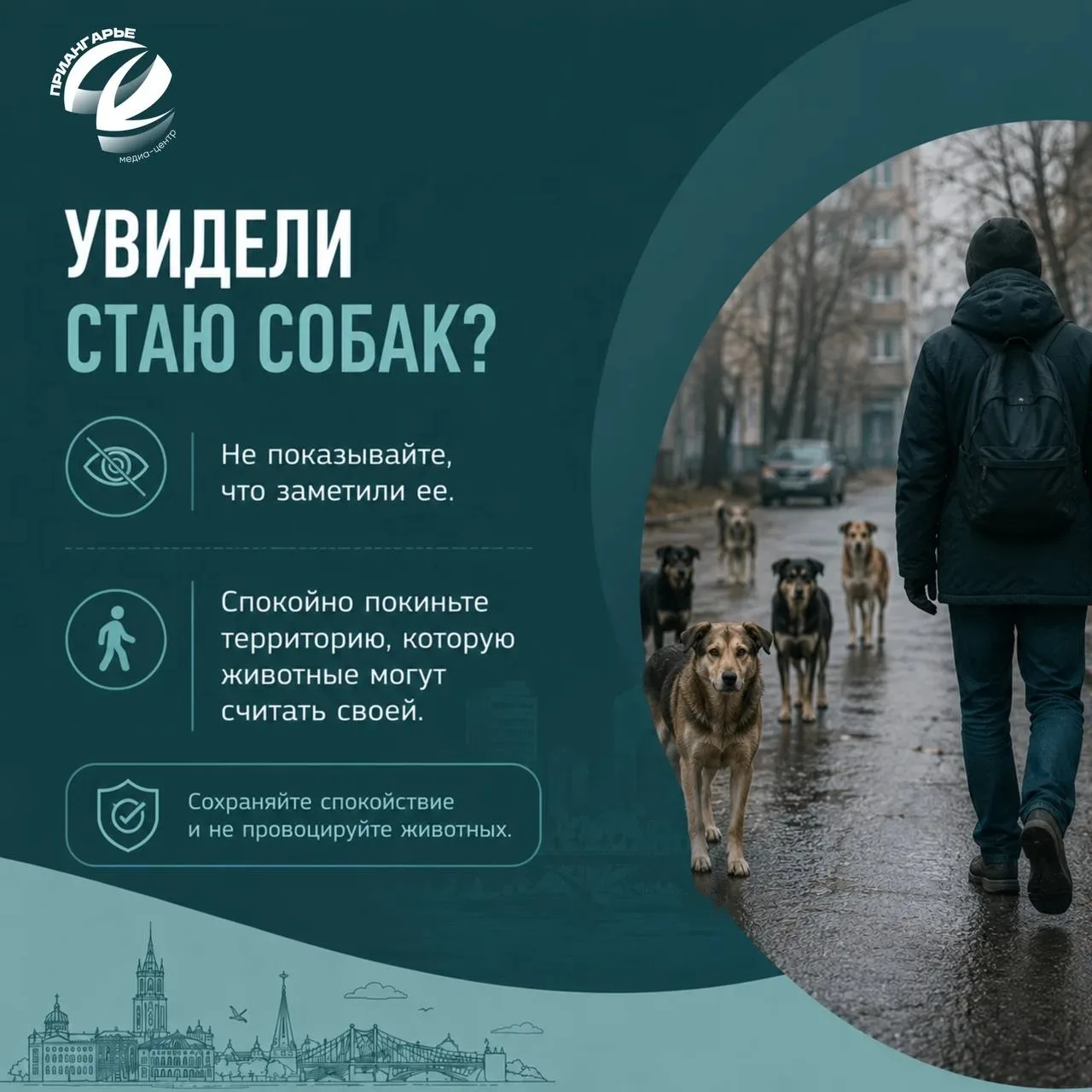 Что делать при встрече с бездомной собакой?

Собрали для вас простую памятку с правилами поведения в