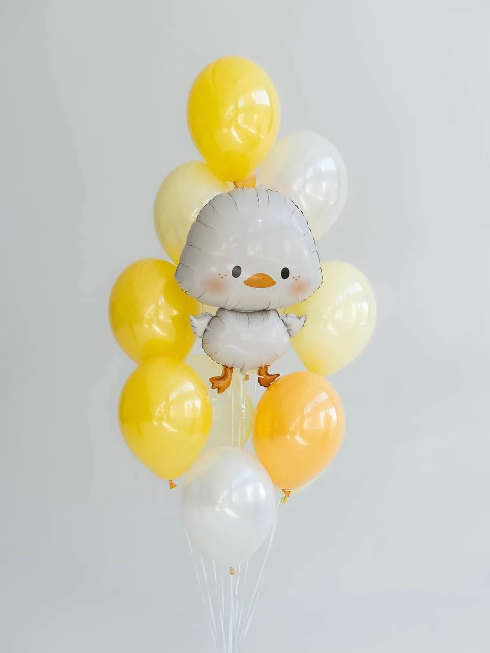 Милейшая новинка, в которую невозможно не влюбиться 🐣

Эта композиция из шаров станет красивым акце