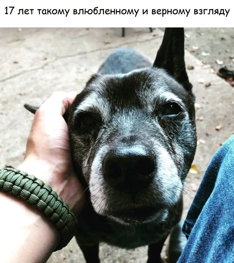 ⚡