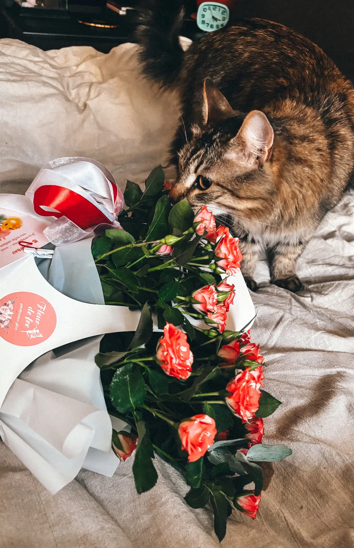 🌸 Кажется, именно из таких мелочей и складывается счастье.
Выспаться. Получить букет любимых цветов
