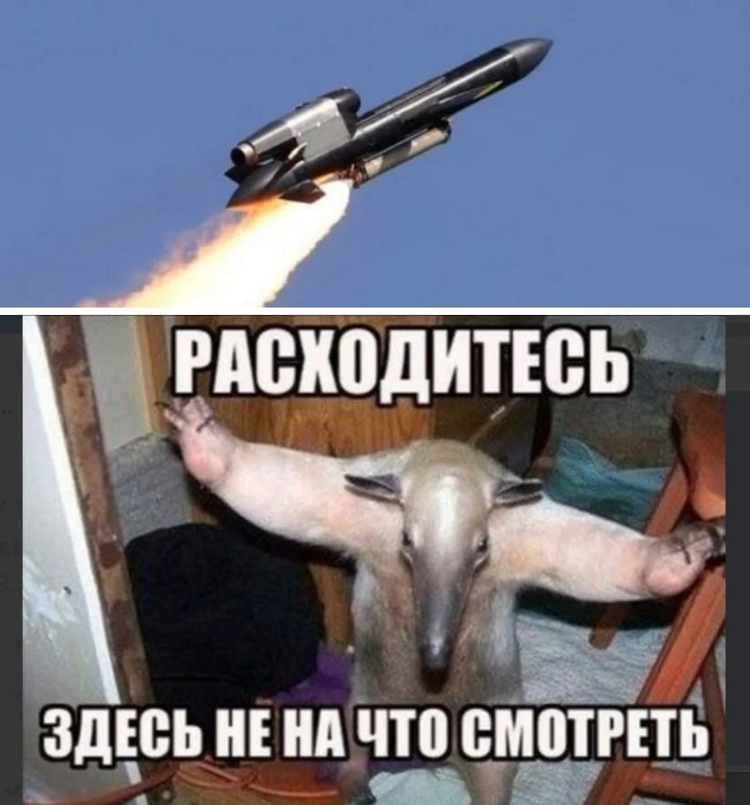🤡О бедном «Вхламинго»