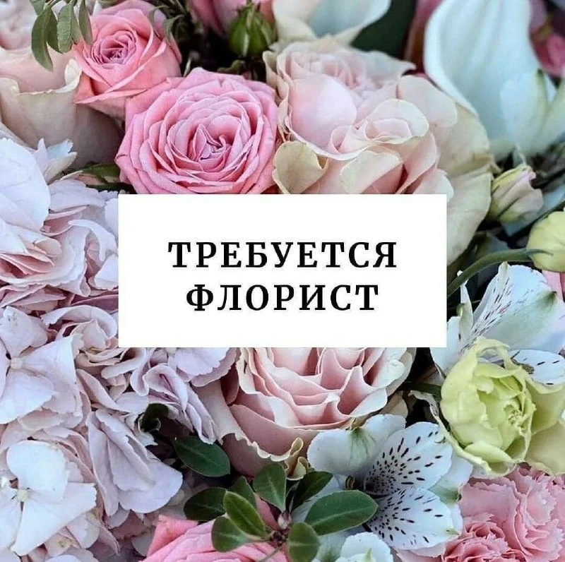 В команду "Дон Пион" требуются флористы.