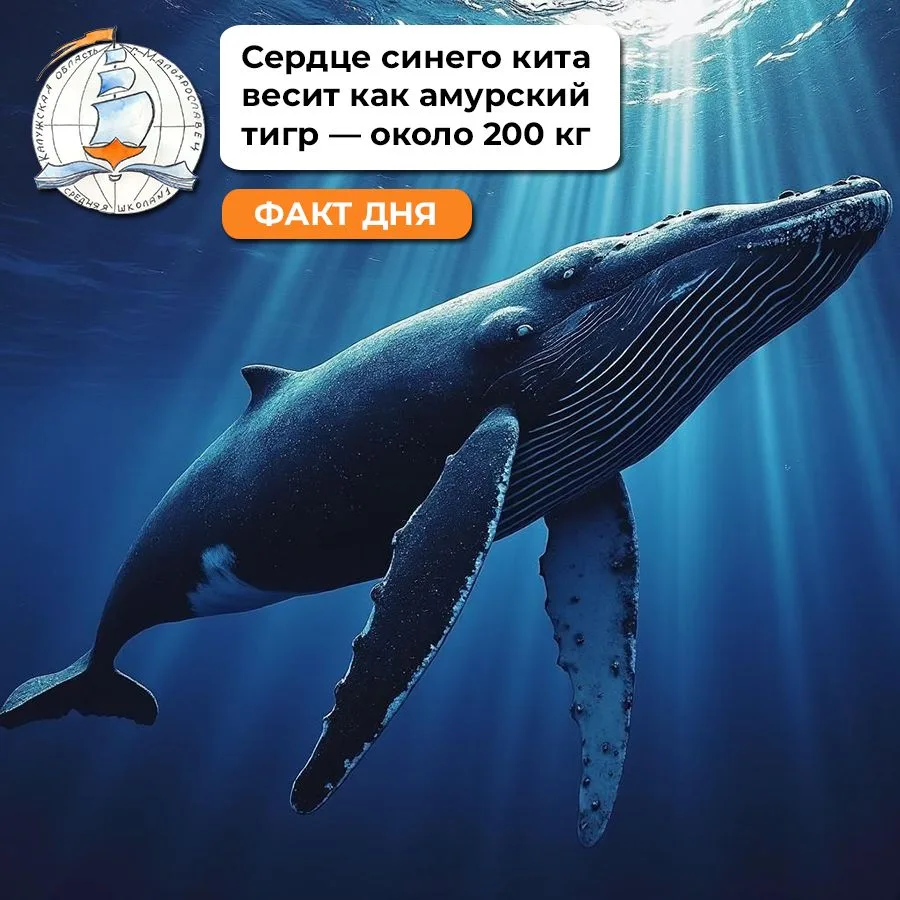 ☝️ Гаяне Валерьевна сказала! Знали?