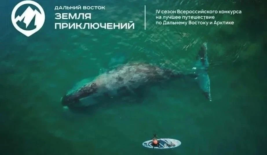 🏞️ 3 млн за видео о своем путешествии: жителям края предлагают поучаствовать в конкурс...