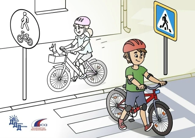 🚴Все обожают кататься на велосипеде, но, к сожалению, не все еще знают, как безопасно ездить по гор