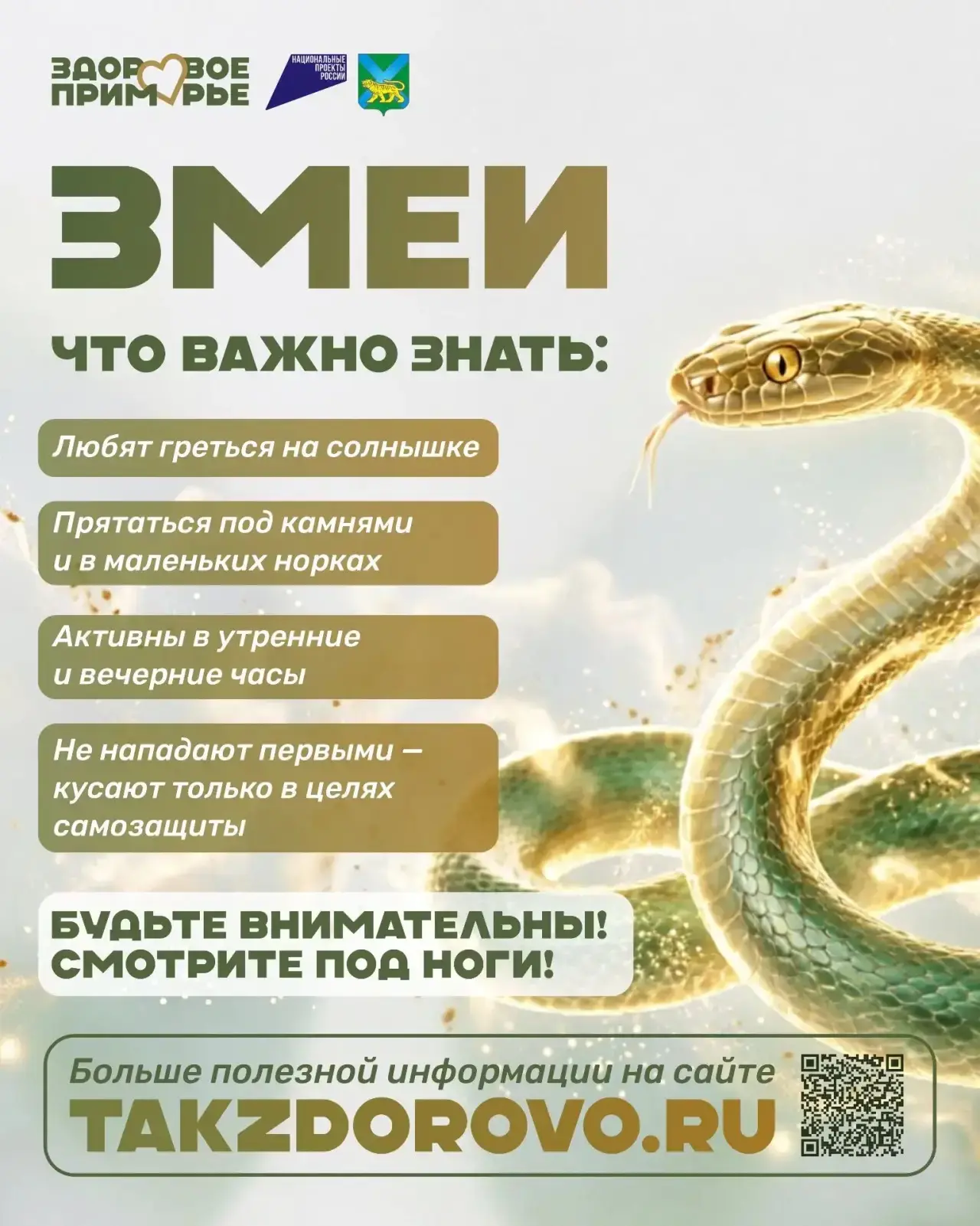Владивосток сказал: «Хватит дождей!» — и включил солнце.